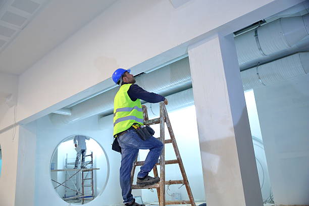 Trusted Sun Valley, NV Mold Removal Experts